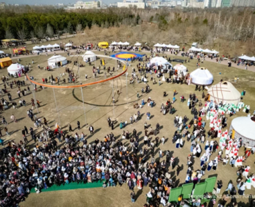 나우르즈 축제 기간, 세계 기록 경신
